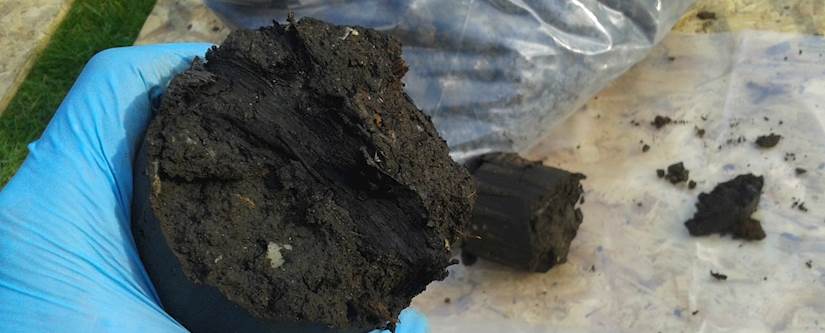Organic Material Soil Sample Rb17 Forensic Ground Gas