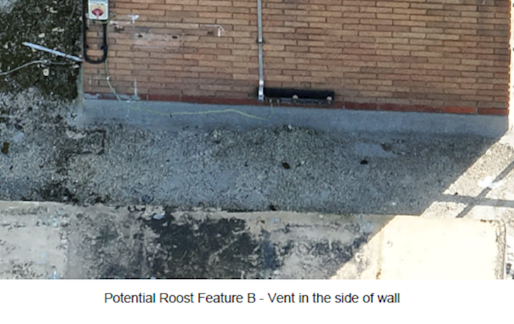 Potential Roost Feature B Vent In The Side Of Wall