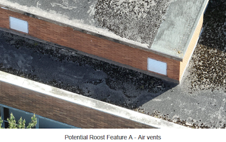 Potential Roost Feature A Air Vents