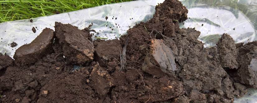 Natural Clean Soils Bulk Sample1