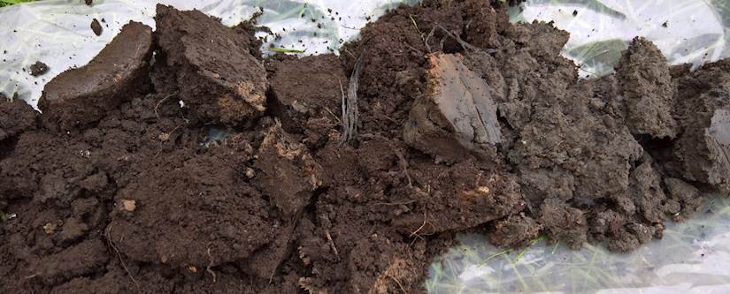 PART 2: Assessing Environmental Risk from Site Investigation Reports