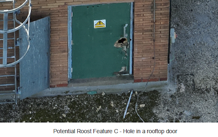 Potential Roost Feature C Hole In A Rooftop Door
