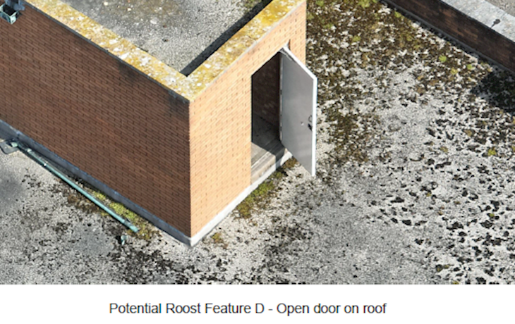 Potential Roost Feature D Open Door On Roof